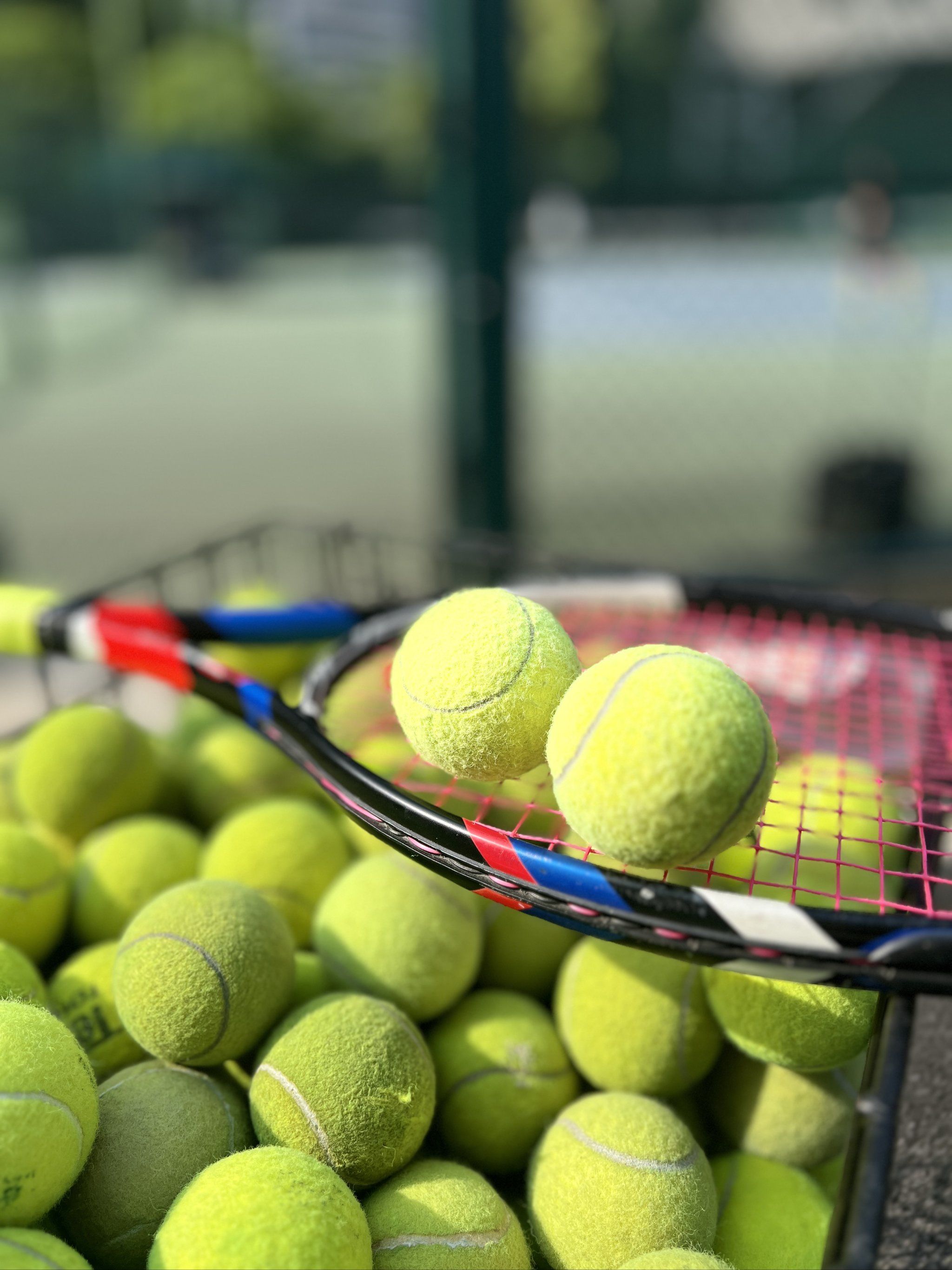 以适应不同 以适应不同