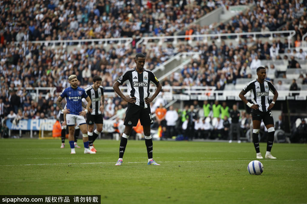 赛竞争性 赛竞争性